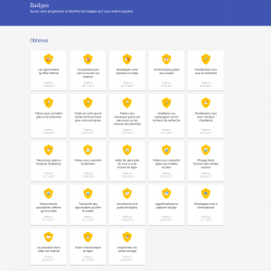 mensahmaster certification module - TOP 5 raisons de faire la certification Digital Active de Google