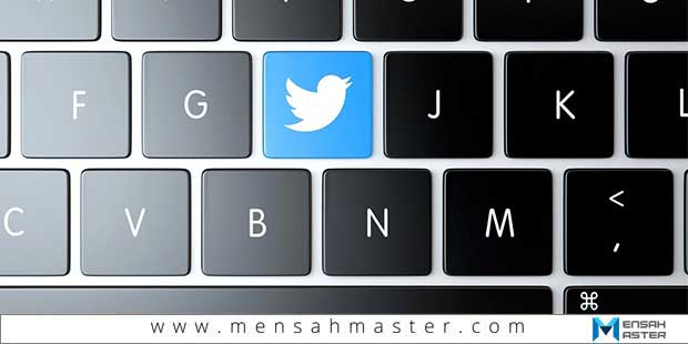 programmer-tweets-version-web