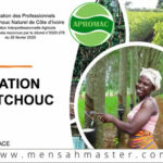 Labelisation-du-caoutchouc-ivoirien