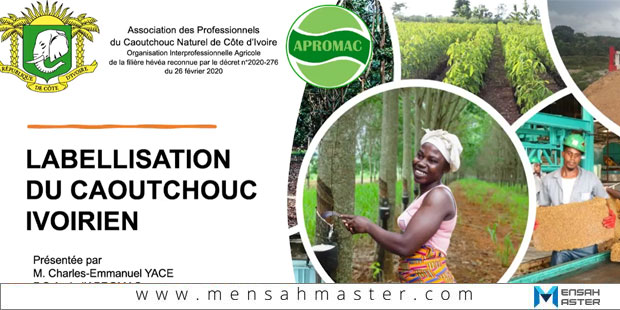 Labelisation-du-caoutchouc-ivoirien